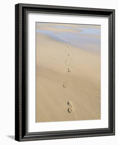 Footprints In Sand-Adrian Bicker-Framed Photographic Print