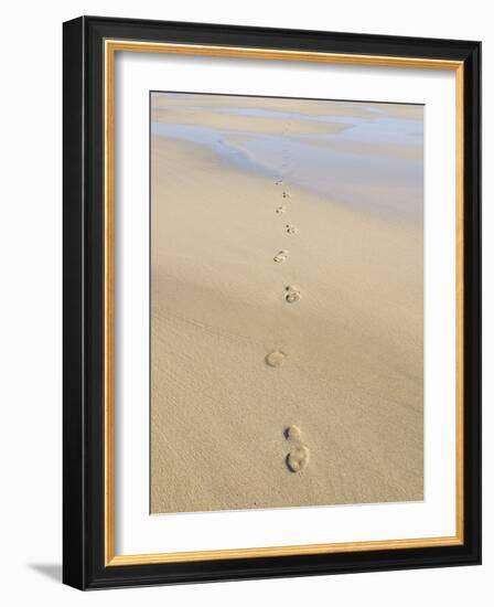 Footprints In Sand-Adrian Bicker-Framed Photographic Print