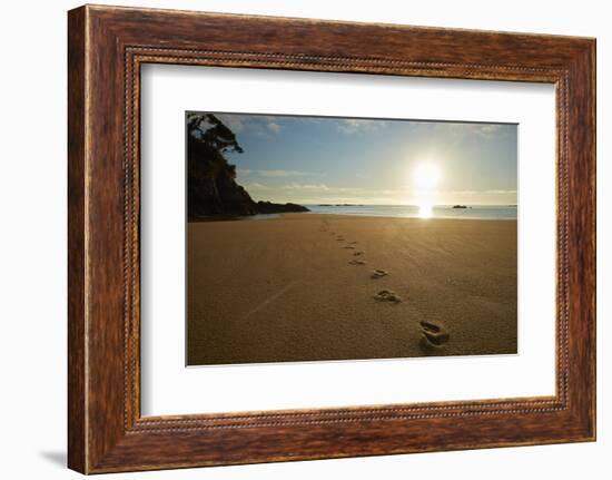 Footprints in the sand at sunrise, Mosquito Bay, Abel Tasman NP, Nelson Region, South Island-David Wall-Framed Photographic Print