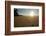 Footprints in the sand at sunrise, Mosquito Bay, Abel Tasman NP, Nelson Region, South Island-David Wall-Framed Photographic Print