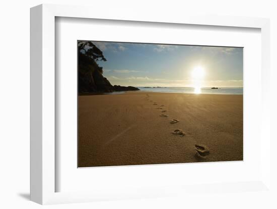 Footprints in the sand at sunrise, Mosquito Bay, Abel Tasman NP, Nelson Region, South Island-David Wall-Framed Photographic Print