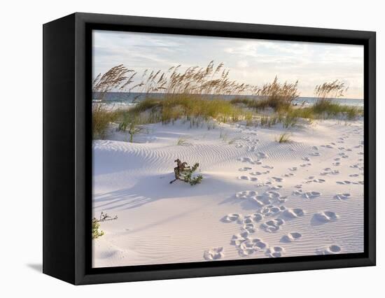 Footprints in the Sand at Sunset in the Dunes of Pensacola Beach, Florida.-forestpath-Framed Premier Image Canvas