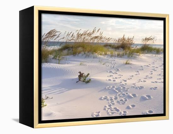 Footprints in the Sand at Sunset in the Dunes of Pensacola Beach, Florida.-forestpath-Framed Premier Image Canvas