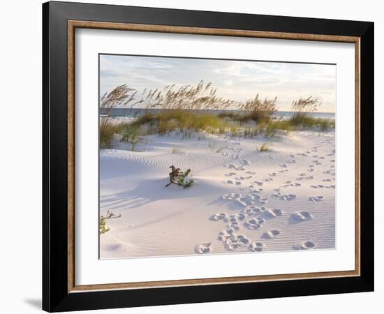 Footprints in the Sand at Sunset in the Dunes of Pensacola Beach, Florida.-forestpath-Framed Photographic Print