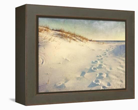 Footprints in the Sand Dunes Leading to the Ocean at Sunset. Soft Artistic Treatment with Canvas Te-forestpath-Framed Premier Image Canvas