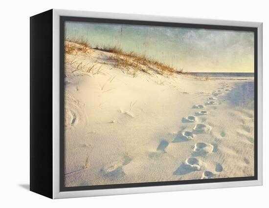 Footprints in the Sand Dunes Leading to the Ocean at Sunset. Soft Artistic Treatment with Canvas Te-forestpath-Framed Premier Image Canvas