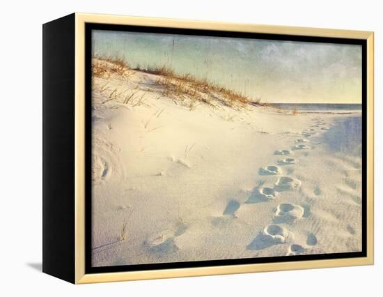 Footprints in the Sand Dunes Leading to the Ocean at Sunset. Soft Artistic Treatment with Canvas Te-forestpath-Framed Premier Image Canvas