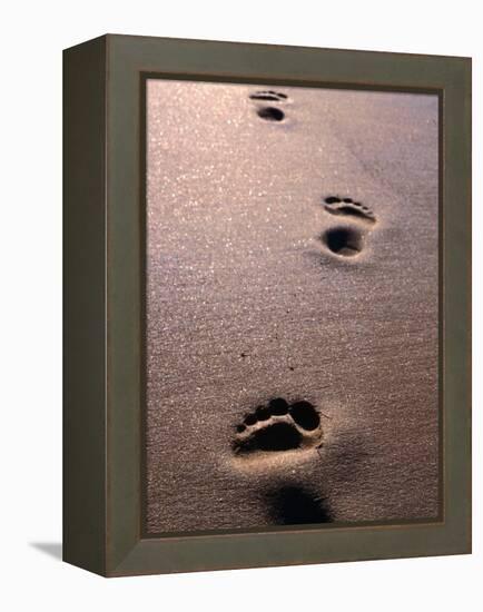 Footprints in the Sand of Eco Beach, South of Broome, Broome, Australia-Trevor Creighton-Framed Premier Image Canvas