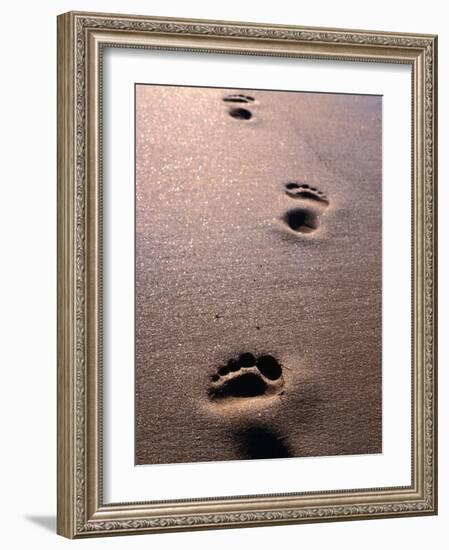 Footprints in the Sand of Eco Beach, South of Broome, Broome, Australia-Trevor Creighton-Framed Photographic Print