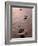 Footprints in the Sand of Eco Beach, South of Broome, Broome, Australia-Trevor Creighton-Framed Photographic Print