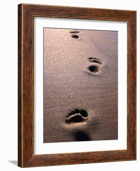 Footprints in the Sand of Eco Beach, South of Broome, Broome, Australia-Trevor Creighton-Framed Photographic Print