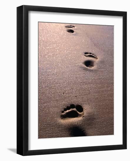 Footprints in the Sand of Eco Beach, South of Broome, Broome, Australia-Trevor Creighton-Framed Photographic Print