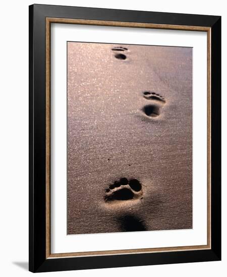 Footprints in the Sand of Eco Beach, South of Broome, Broome, Australia-Trevor Creighton-Framed Photographic Print