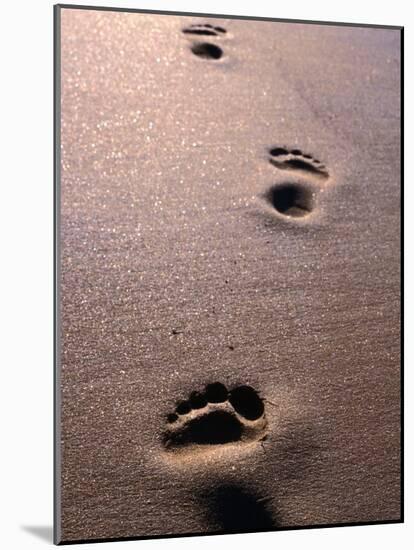 Footprints in the Sand of Eco Beach, South of Broome, Broome, Australia-Trevor Creighton-Mounted Photographic Print