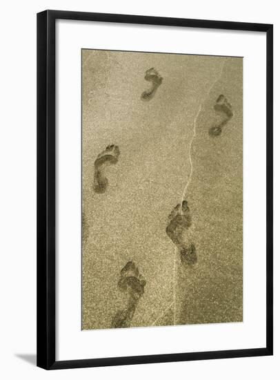 Footprints in the Sand, Puerta Vallarta, Mexico-Julien McRoberts-Framed Photographic Print