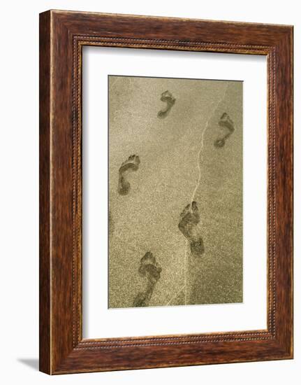 Footprints in the Sand, Puerta Vallarta, Mexico-Julien McRoberts-Framed Photographic Print