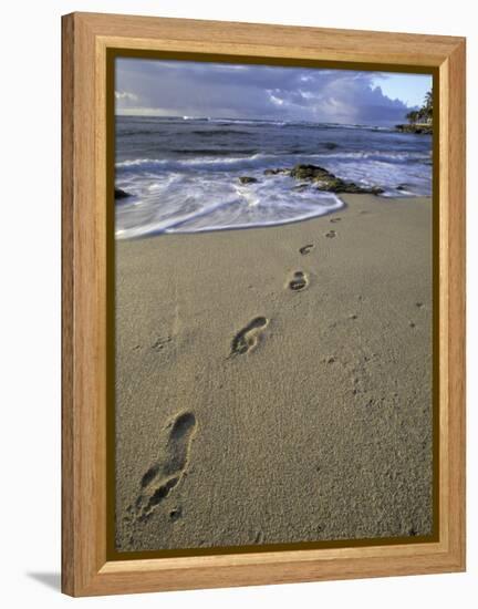 Footprints in the Sand, Turtle Bay Resort Beach, Northshore, Oahu, Hawaii, USA-Darrell Gulin-Framed Premier Image Canvas