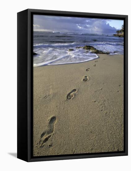 Footprints in the Sand, Turtle Bay Resort Beach, Northshore, Oahu, Hawaii, USA-Darrell Gulin-Framed Premier Image Canvas