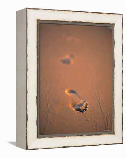 Footprints in the Sand-Jon Arnold-Framed Premier Image Canvas