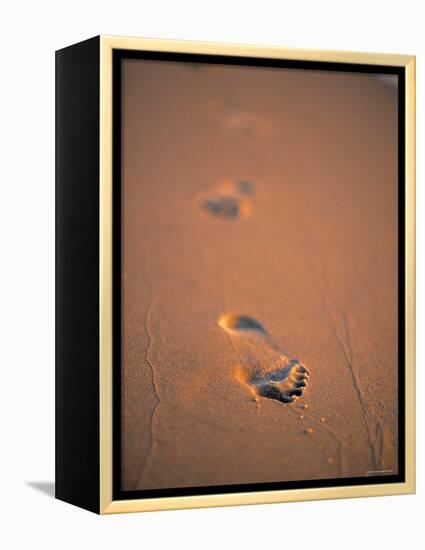 Footprints in the Sand-Jon Arnold-Framed Premier Image Canvas