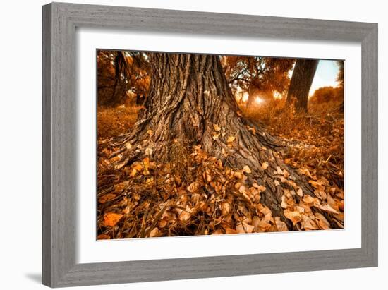 Footprints of Fall-Bob Larson-Framed Art Print