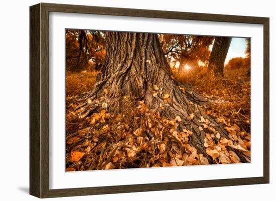 Footprints of Fall-Bob Larson-Framed Art Print