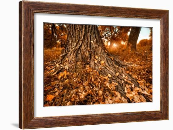 Footprints of Fall-Bob Larson-Framed Art Print