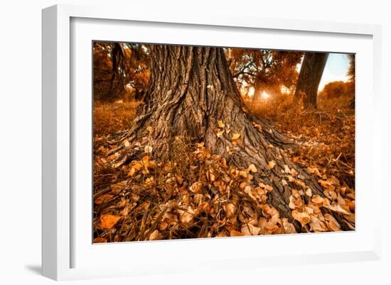 Footprints of Fall-Bob Larson-Framed Art Print