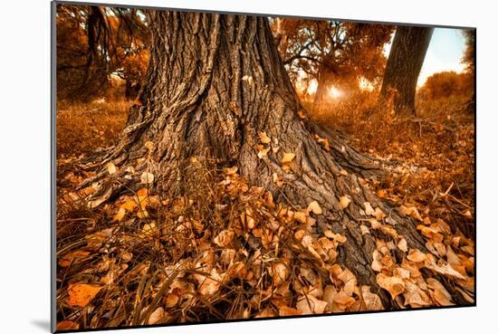 Footprints of Fall-Bob Larson-Mounted Art Print