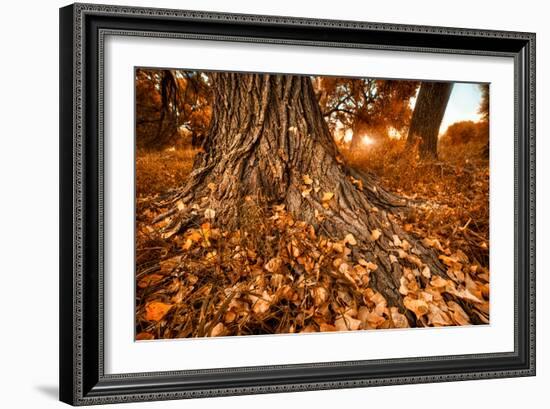 Footprints of Fall-Bob Larson-Framed Art Print