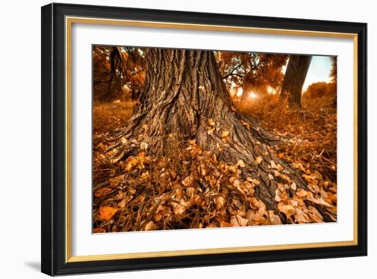 Footprints of Fall-Bob Larson-Framed Art Print