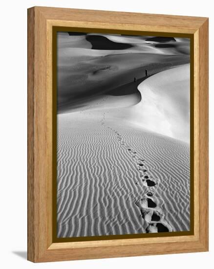 Footprints on Desert Dunes-Bettmann-Framed Premier Image Canvas