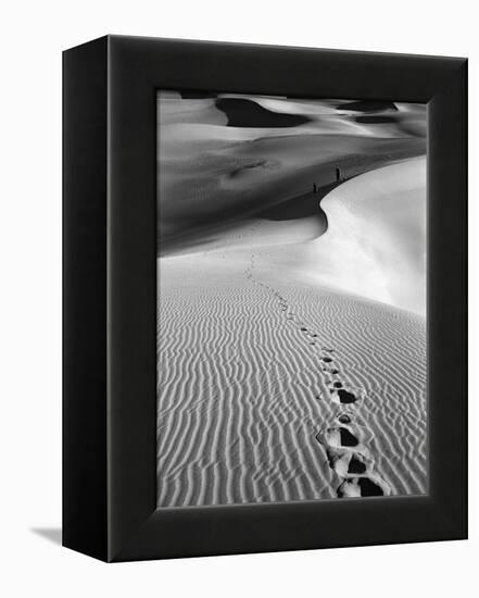 Footprints on Desert Dunes-Bettmann-Framed Premier Image Canvas