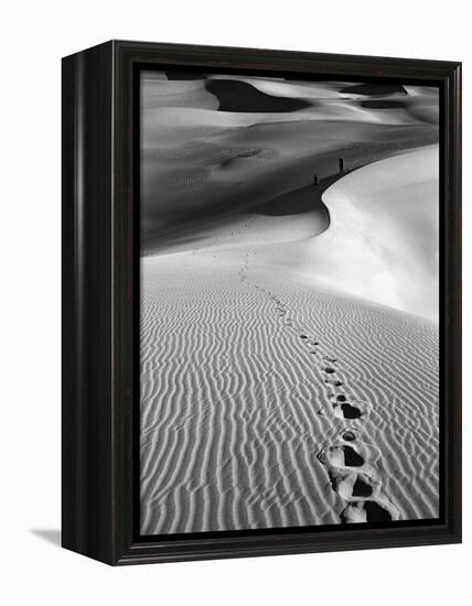 Footprints on Desert Dunes-Bettmann-Framed Premier Image Canvas