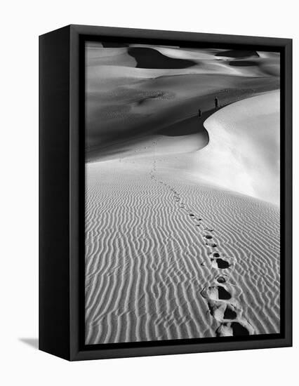 Footprints on Desert Dunes-Bettmann-Framed Premier Image Canvas