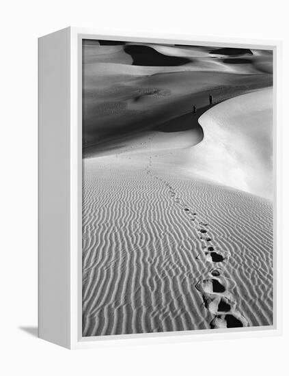 Footprints on Desert Dunes-Bettmann-Framed Premier Image Canvas