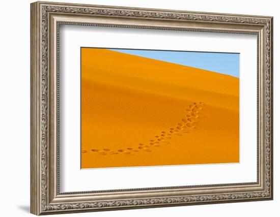 Footprints on red sand dune in southern Namib Desert. Sossusvlei, Namib-Naukluft NP, Namibia-Keren Su-Framed Photographic Print