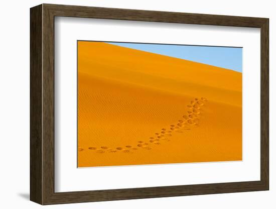 Footprints on red sand dune in southern Namib Desert. Sossusvlei, Namib-Naukluft NP, Namibia-Keren Su-Framed Photographic Print