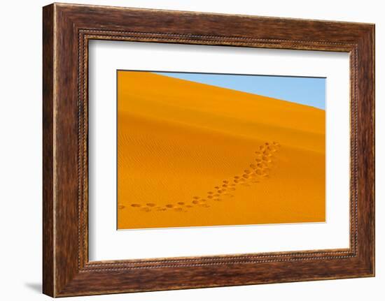 Footprints on red sand dune in southern Namib Desert. Sossusvlei, Namib-Naukluft NP, Namibia-Keren Su-Framed Photographic Print