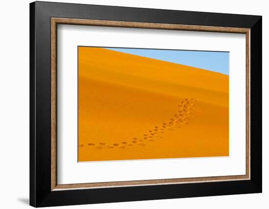 Footprints on red sand dune in southern Namib Desert. Sossusvlei, Namib-Naukluft NP, Namibia-Keren Su-Framed Photographic Print