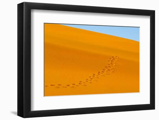 Footprints on red sand dune in southern Namib Desert. Sossusvlei, Namib-Naukluft NP, Namibia-Keren Su-Framed Photographic Print