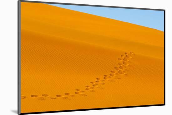 Footprints on red sand dune in southern Namib Desert. Sossusvlei, Namib-Naukluft NP, Namibia-Keren Su-Mounted Photographic Print