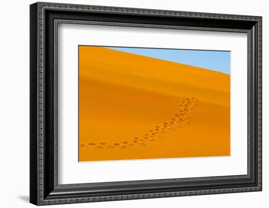 Footprints on red sand dune in southern Namib Desert. Sossusvlei, Namib-Naukluft NP, Namibia-Keren Su-Framed Photographic Print