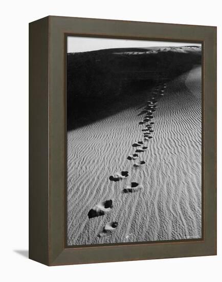 Footprints on Sand Dunes of North Carolina Beach-Fritz Goro-Framed Premier Image Canvas