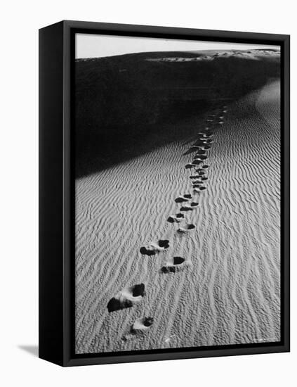 Footprints on Sand Dunes of North Carolina Beach-Fritz Goro-Framed Premier Image Canvas