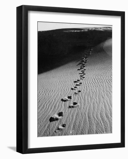 Footprints on Sand Dunes of North Carolina Beach-Fritz Goro-Framed Photographic Print