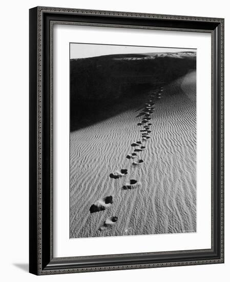 Footprints on Sand Dunes of North Carolina Beach-Fritz Goro-Framed Photographic Print