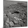 Footprints on the Surface of the Moon-null-Mounted Photographic Print