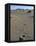 Footprints Through Sand Dunes, Near Corralejo, Fuerteventura, Canary Islands, Spain, Europe-Stuart Black-Framed Premier Image Canvas