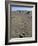 Footprints Through Sand Dunes, Near Corralejo, Fuerteventura, Canary Islands, Spain, Europe-Stuart Black-Framed Photographic Print